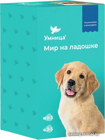 

Развивающая игра Умница Мир на ладошке. Щенок S215