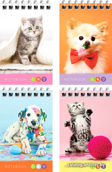 

Блокнот ArtSpace Питомцы. Bright friends Б7к40гр_24242 (40 л)