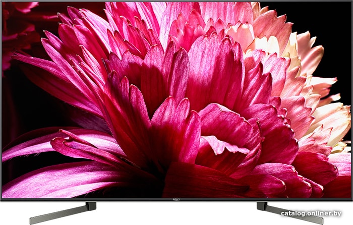 

Телевизор Sony KD-55XG9505