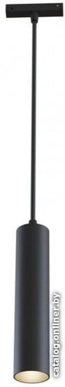 

Подвесная люстра Maytoni TR016-2-12W3K-B