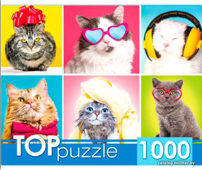 

Пазл Top Puzzle Top Смешные котята