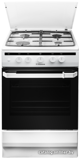 

Кухонная плита Hansa FCGW51050