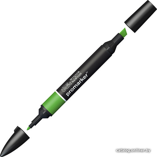 

Маркер художественный Winsor & Newton Pro 203068 (зеленый лес)