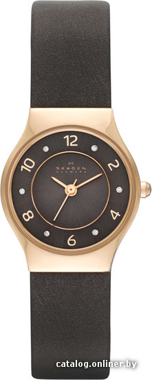 

Наручные часы Skagen SKW2208