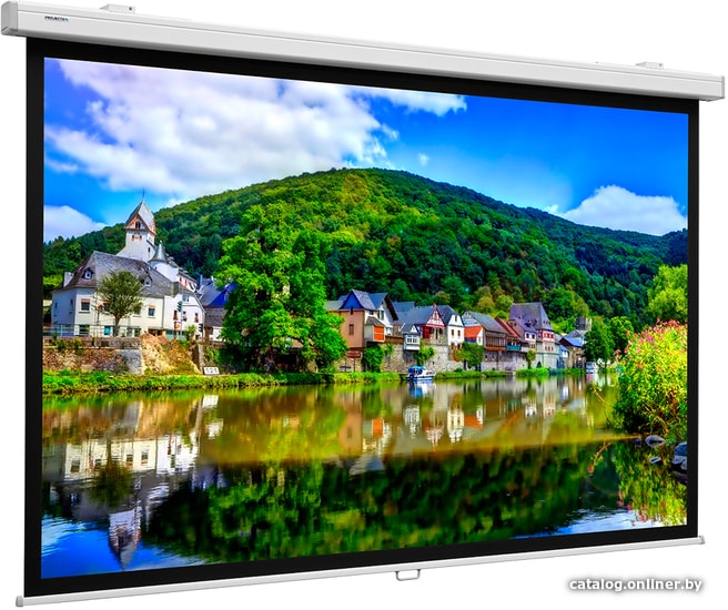 

Проекционный экран Projecta Proscreen CSR 154x240 10200315