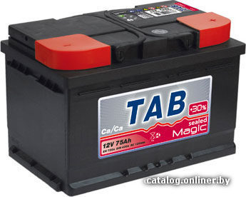 

Автомобильный аккумулятор TAB Magic 189055 (55 А/ч)