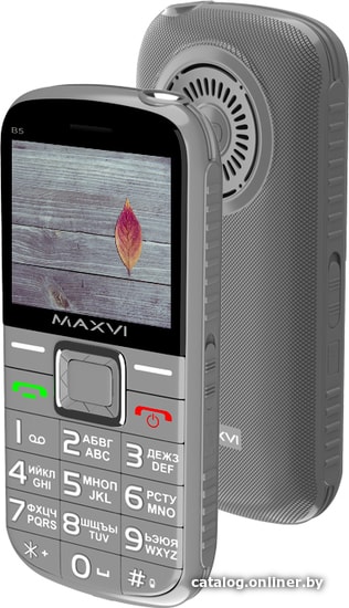 

Кнопочный телефон Maxvi B5 (серый)