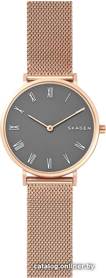 

Наручные часы Skagen SKW2675
