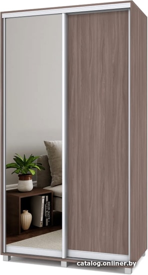 

Шкаф-купе Modern Роланд 1200 (450) (шимо темный/зеркало)