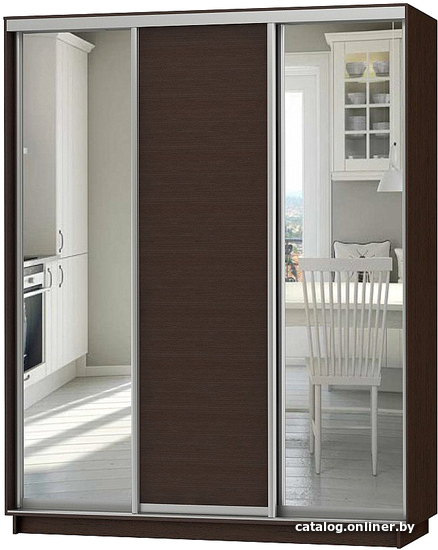 

Шкаф-купе Vivat Mebel D3-03 220x60 (черное дерево)
