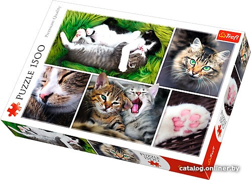 

Пазл Trefl Котята. Коллаж