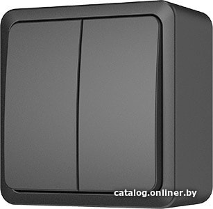 

Выключатель Vilma Style plus SL+250 P510-020 an