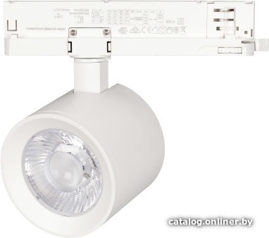 

Трековый светильник Arlight LGD-NIKA-4TR-R100-20W White6000 031162