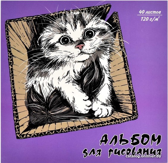 

Альбом для рисования Феникс+ Милый котик 60367