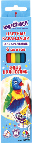 

Набор акварельных карандашей Юнландия Юный волшебник 181401 (6цв)