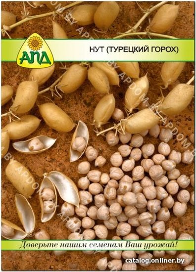 

Семена АПД Нут (турецкий горох) 40 шт