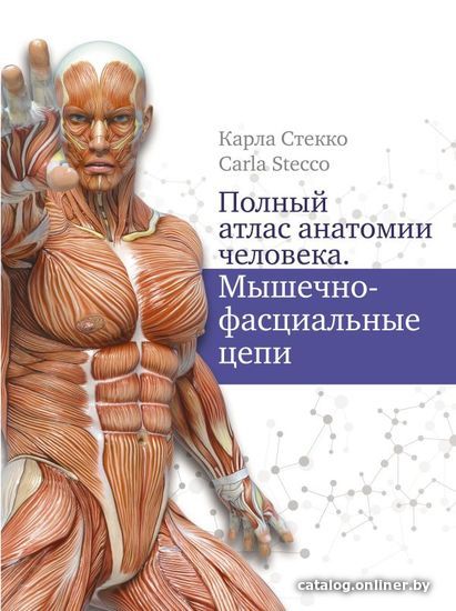 

Книга издательства АСТ. Полный атлас анатомии человека. Мышечно-фасциальные цепи