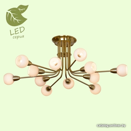 

Подвесная люстра Lussole LGO GRLSP-8124