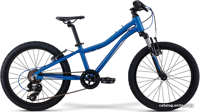 

Детский велосипед Merida Matts J20 ECO 2022 (синий)
