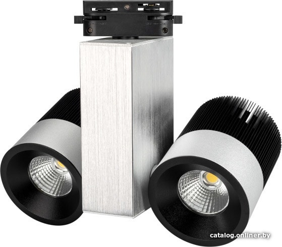 

Трековый светильник Arlight LGD-2238SB-2x15W White 022045