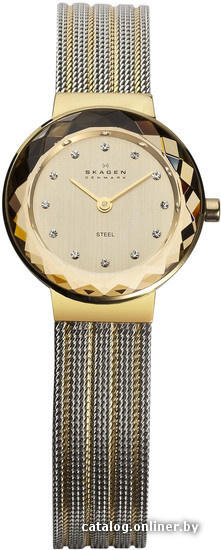 

Наручные часы Skagen 456SGS1
