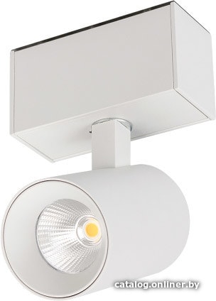 

Трековый светильник Arlight MAG-SPOT-45-R85-3W Day4000 030651