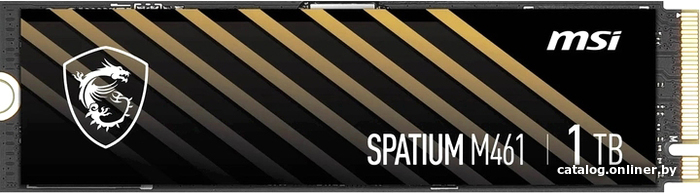 

SSD MSI Spatium M461 1TB S78-440L1D0-P83