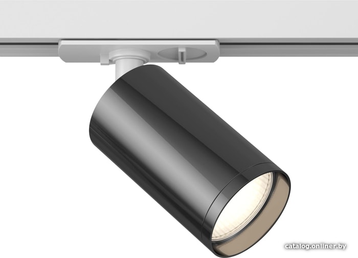 

Трековый светильник Maytoni TR020-1-GU10-WGF