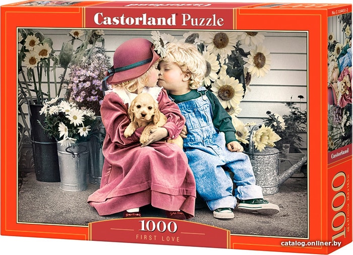 

Пазл Castorland Первая любовь