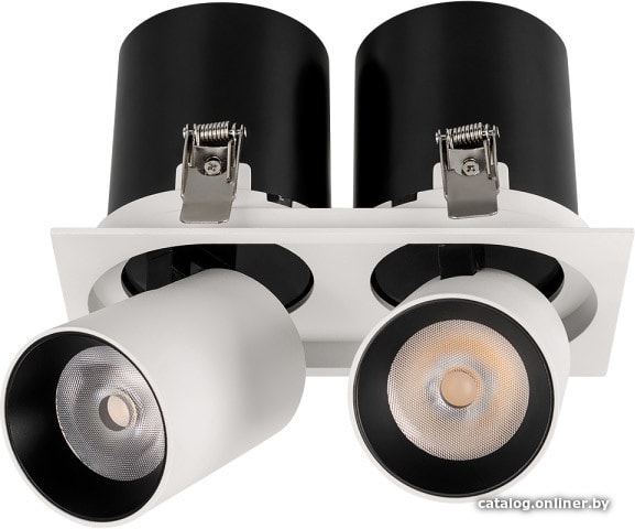 

Спот Arlight LGD-PULL-S100x200-2x10W Day4000 025474