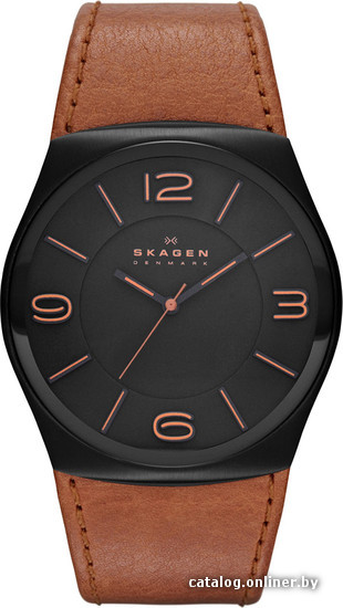 

Наручные часы Skagen SKW6040