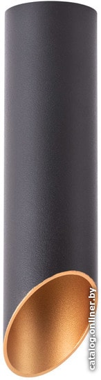 

Светильник Arte Lamp Pilon-Gold A1535PL-1BK