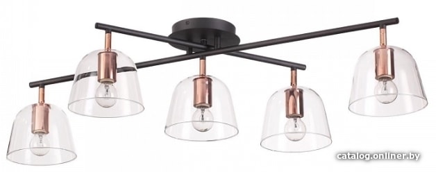

Припотолочная люстра Lumion Joseph 4455/5C