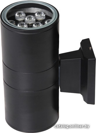 

Фасадный светильник JAZZway PWL-245110/24D 2x9w (черный)