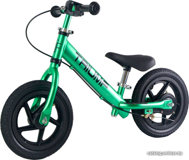 

Беговел Triumf Active AL1201TW (зеленый)