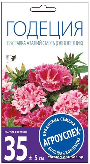 

Семена цветов Агроуспех Годеция Выставка азалий О 07317 0.3 г