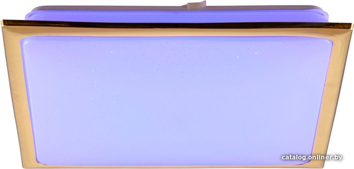 

Припотолочная люстра Sfera-sveta 89502/60W LED/RGB FGD