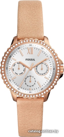 

Наручные часы Fossil ES4888