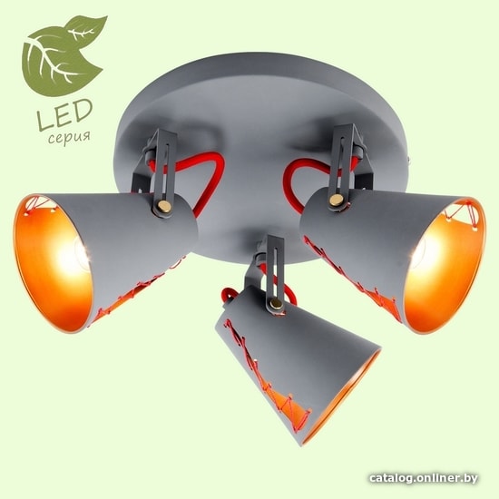 

Спот Lussole Loft Bethel GRLSP-8021