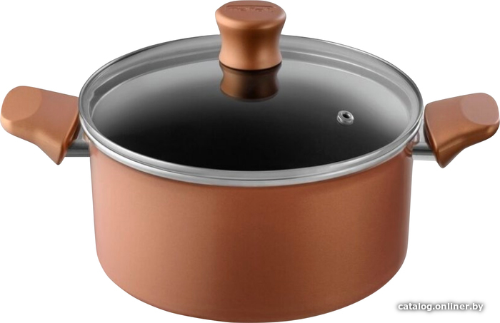 

Кастрюля Tefal Performa 04190320
