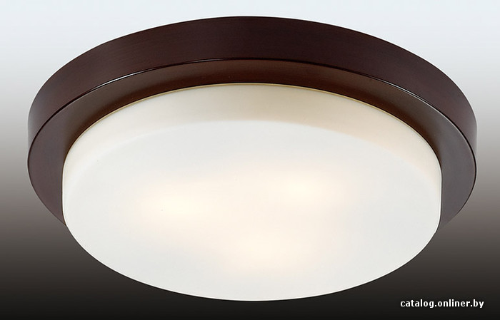 

Светильник-тарелка Odeon Light Holger [2744/3C]