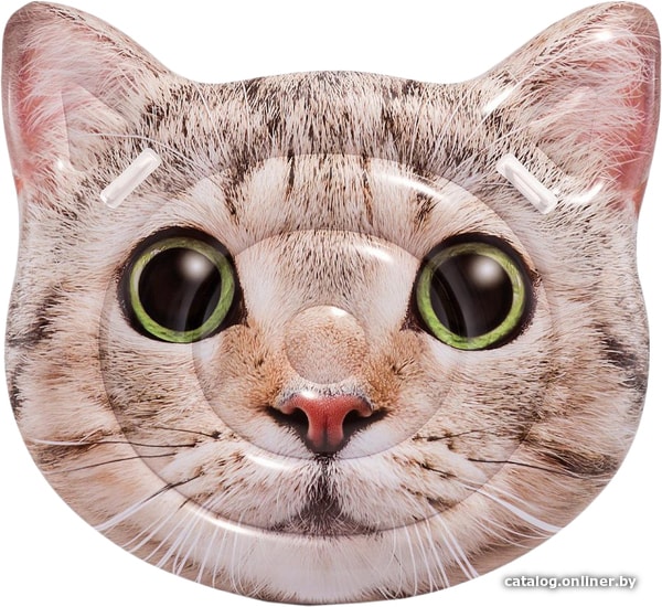 

Надувной матрас Intex Curious Cat 58784