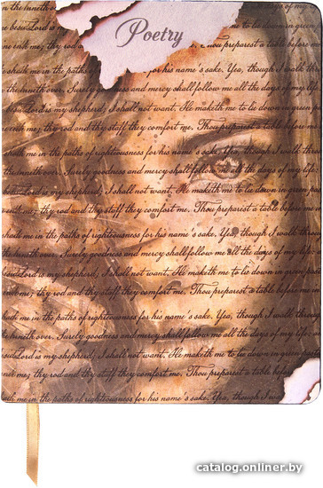 

Полуобщая тетрадь BRAUBERG Vista Poetry 403921 (80л, клетка)