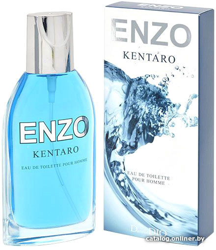 

Туалетная вода Positive Enzo Kentaro EdT (95 мл)