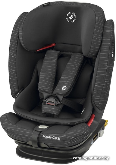

Детское автокресло Maxi-Cosi Titan Pro (scribble black)