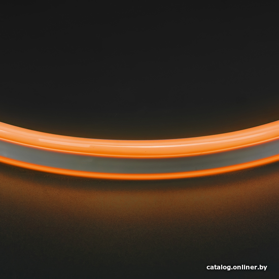 

Гибкий неон Lightstar Neoled 430103