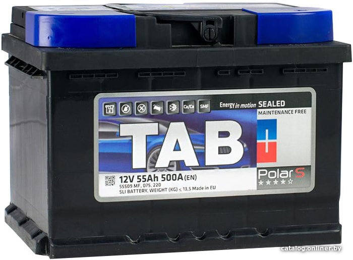 

Автомобильный аккумулятор TAB Polar R 55 (55 А·ч)