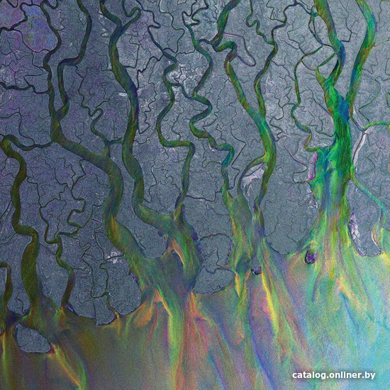 

Виниловая пластинка alt-J - An Awesome Wave (Limited Edition, зеленый винил)