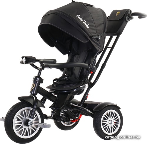 

Детский велосипед Baby Trike Luxury (черный)