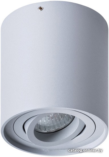 

Точечный светильник Arte Lamp Falcon Picolo A5645PL-1GY